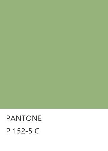 PANTONE P 152-5 C  色卡