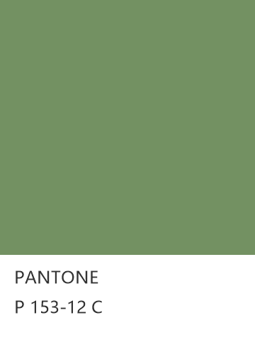 PANTONE P 153-12 C  色卡
