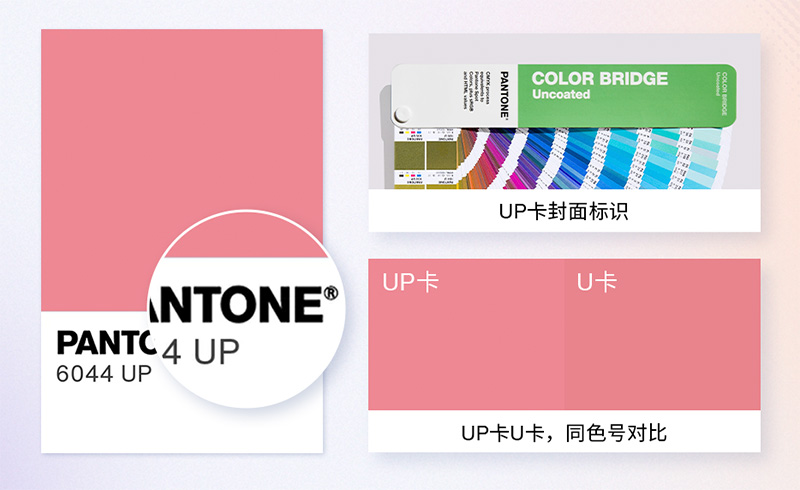 潘通UP卡色号
